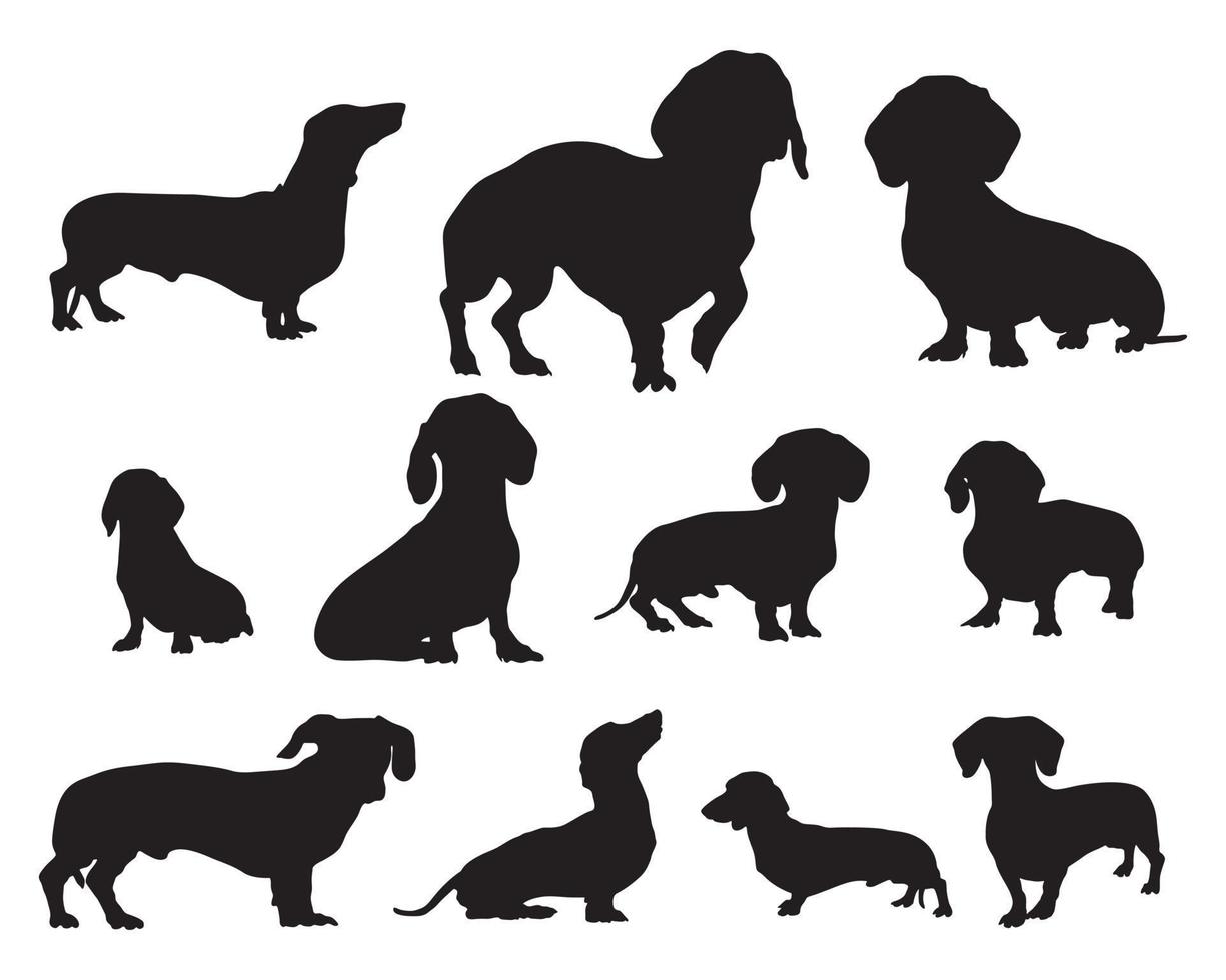 siluetas de perro salchicha. siluetas de animales, ilustración vectorial. vector