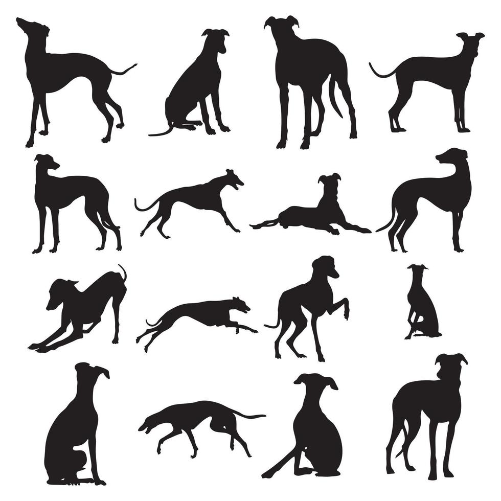 siluetas de perros galgos, colección de siluetas de animales de perros galgos vector