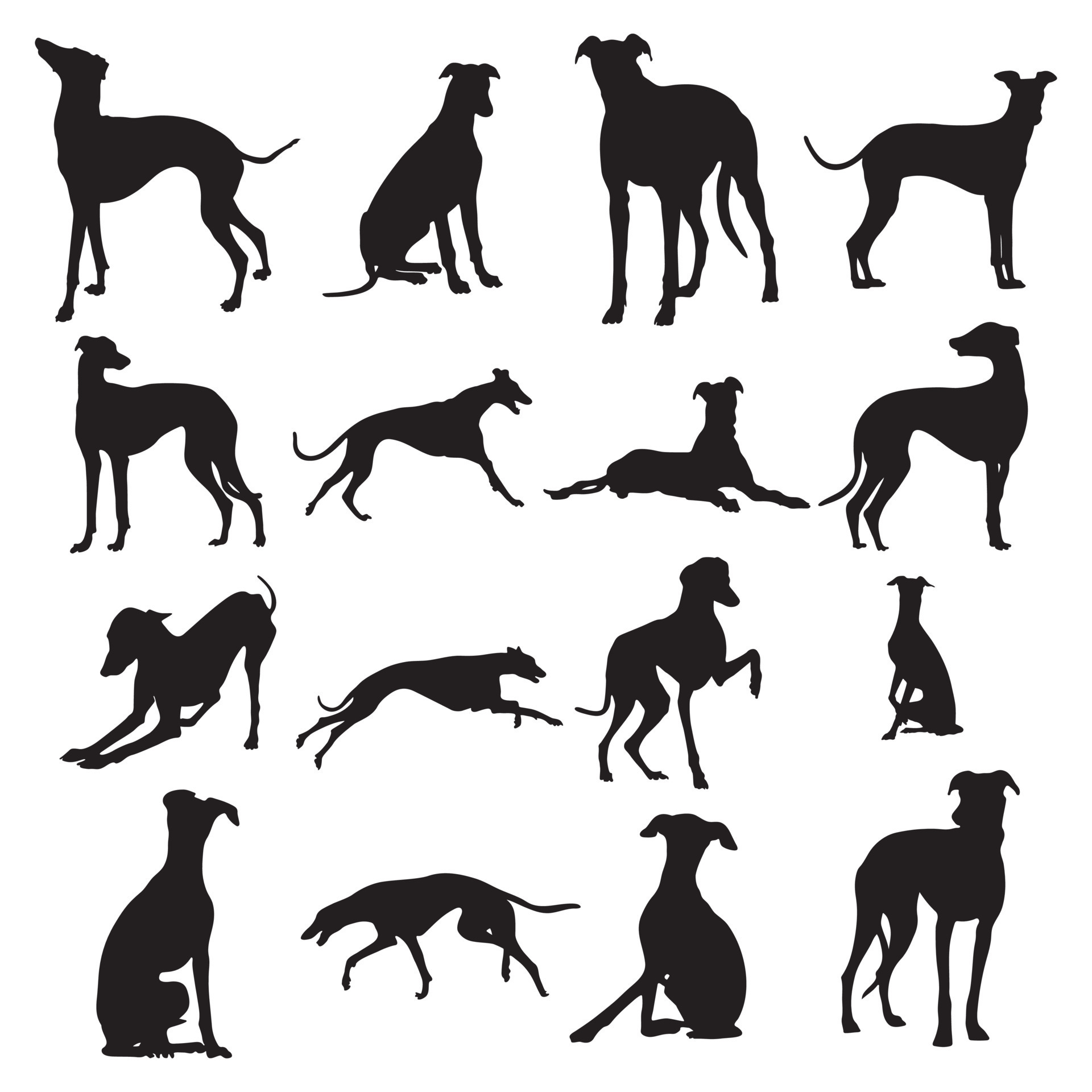 Greyhound dog silhouettes,Greyhound dog animal silhouette collection