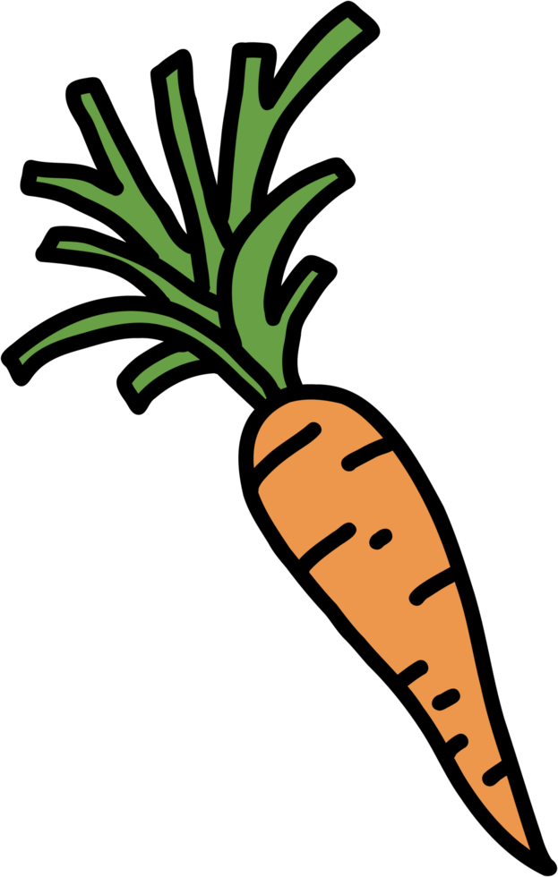 scarabocchiare a mano libera disegno di verdure di carota. png