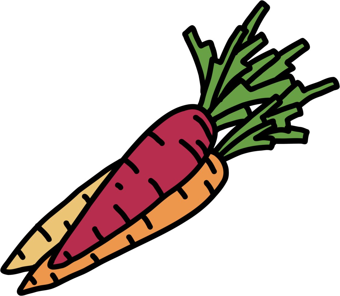 doodle freehand sketch drawing of carrot vegetable. png