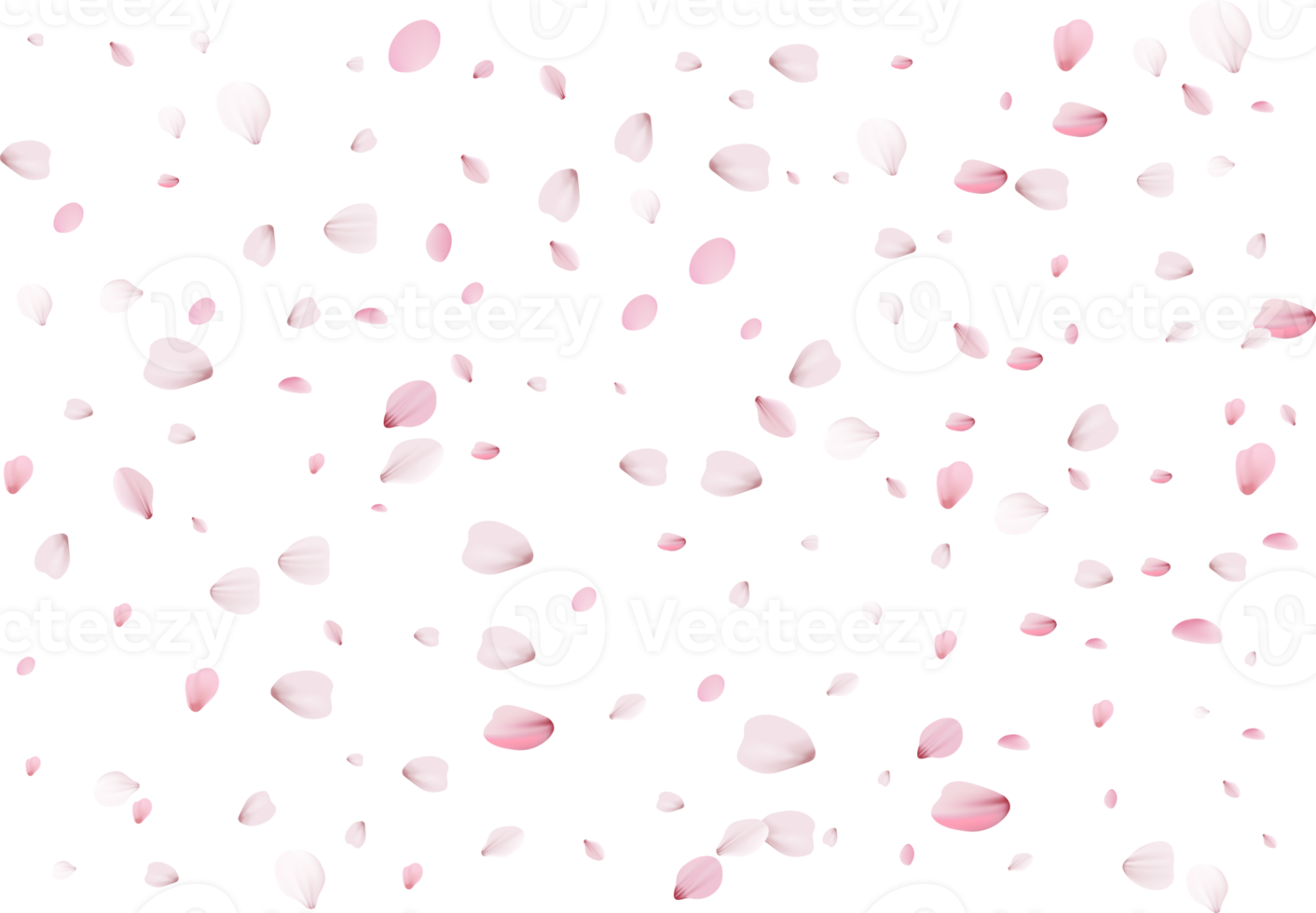 Sakura realistische Blütenblätter png