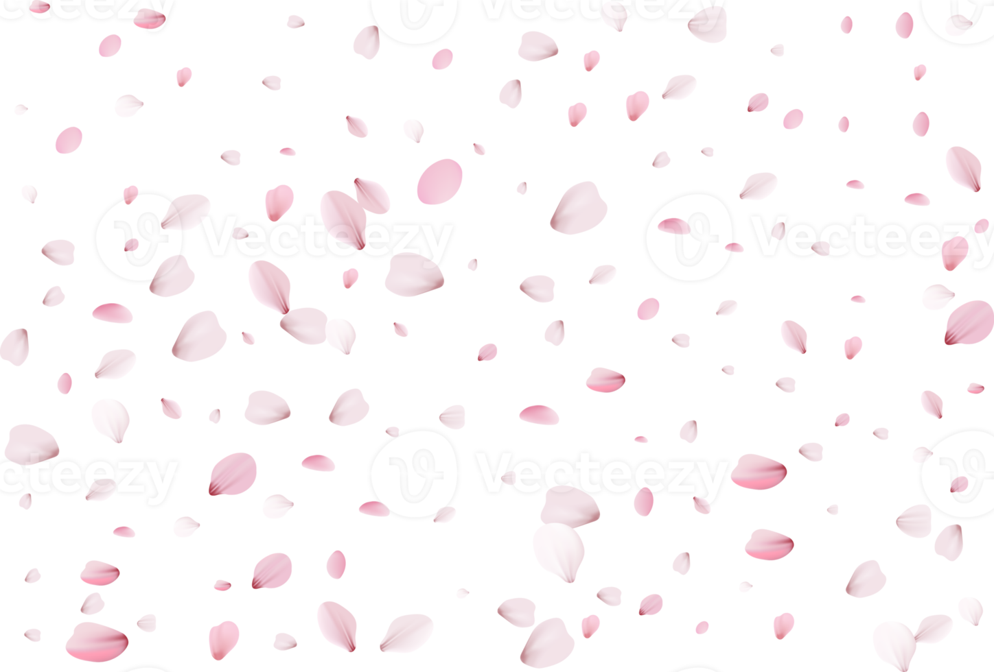 sakura realistic petals png