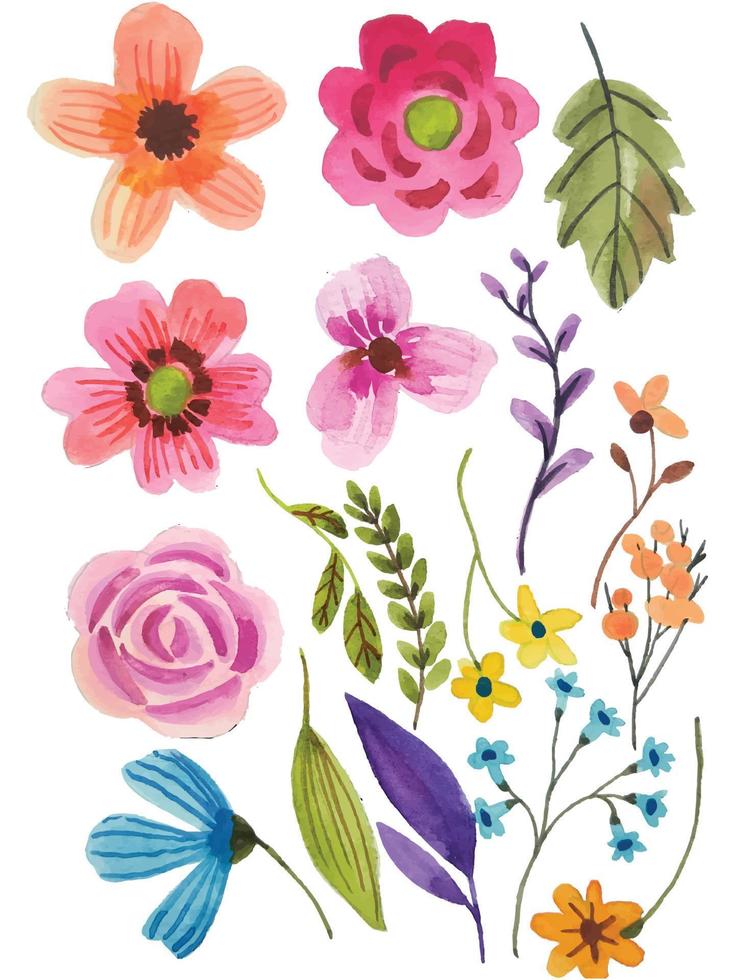 watercolor flower elements vector