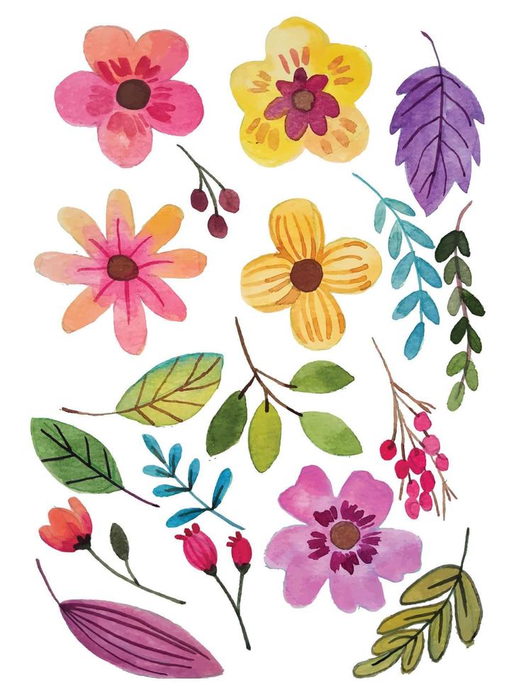 watercolor flower elements vector