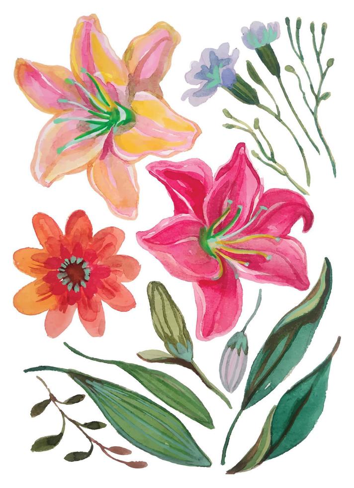 watercolor flower elements vector