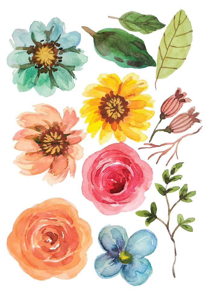 watercolor flower elements vector