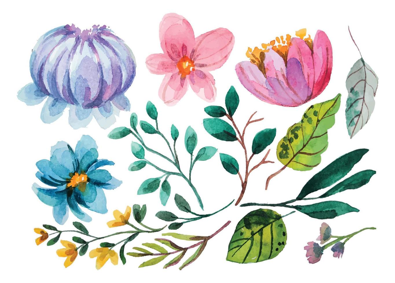 watercolor flower elements vector