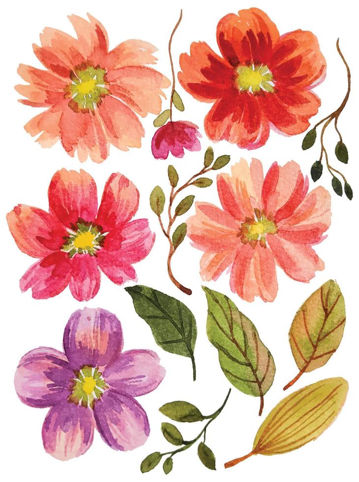 watercolor flower elements vector