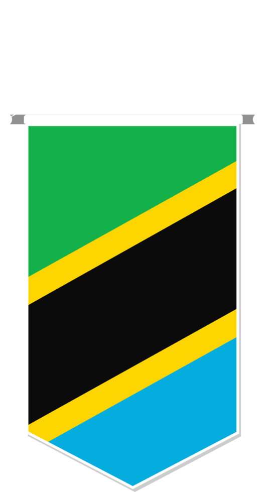 Tanzania flag in soccer pennant, various shape. png