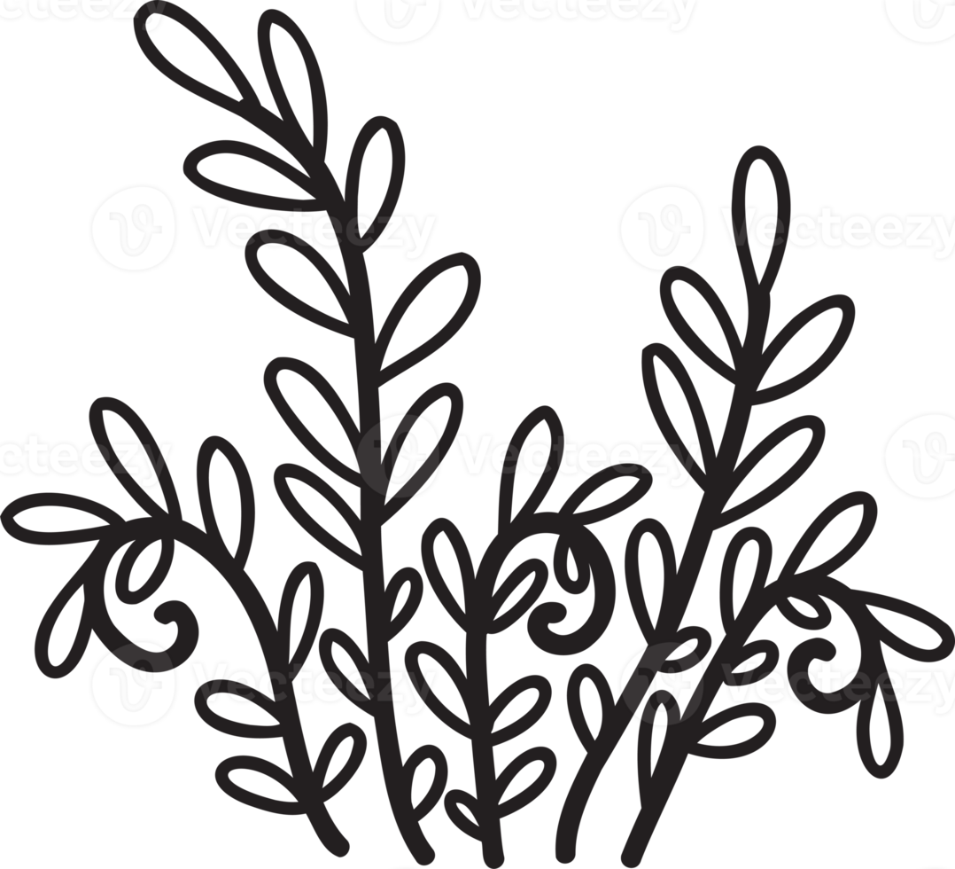 Hand Drawn cute indoor plant illustration png