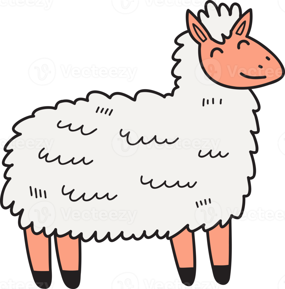 Hand Drawn cute sheep illustration png