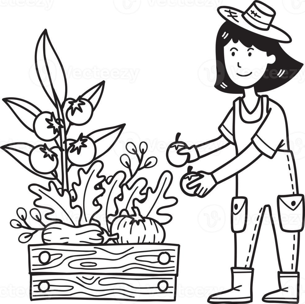 Hand Drawn female farmer picking fruits and vegetables illustration