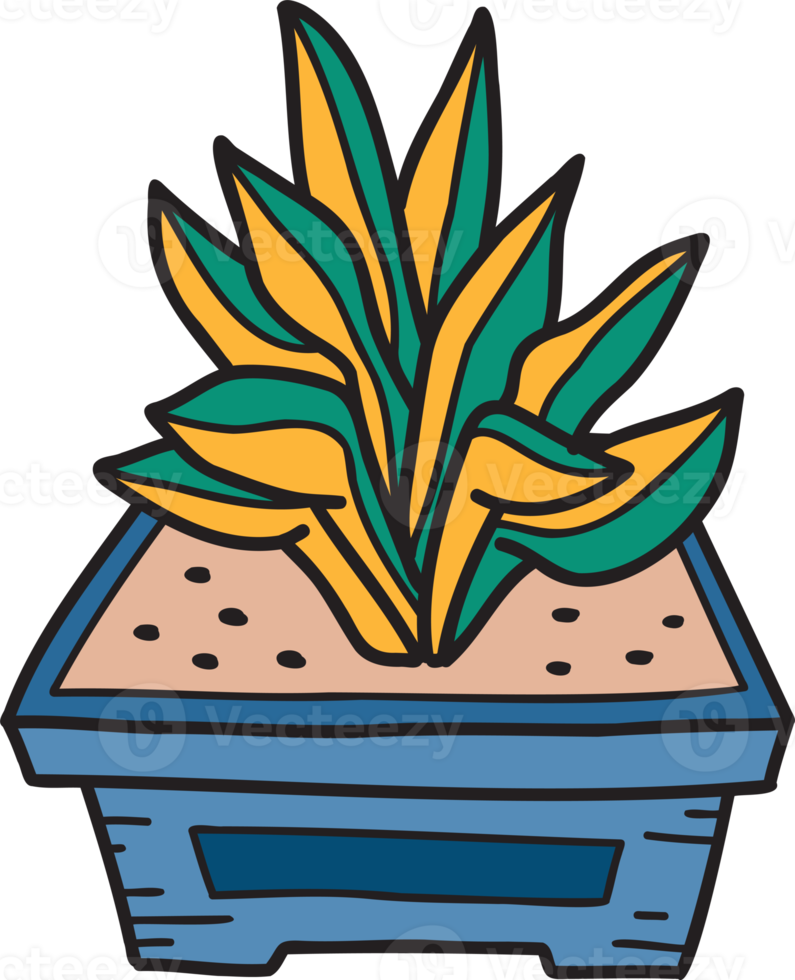 Hand Drawn cute indoor plant illustration png