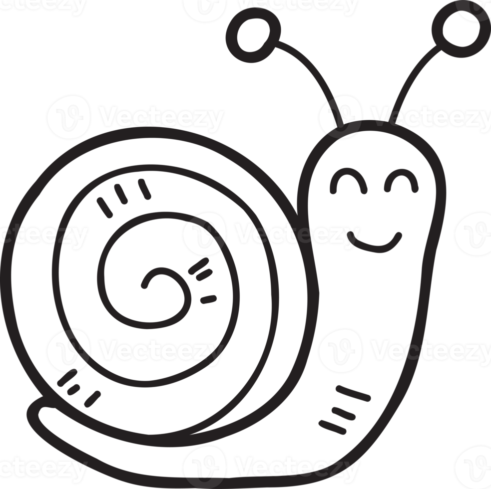 Hand Drawn cute snail illustration 11887809 PNG