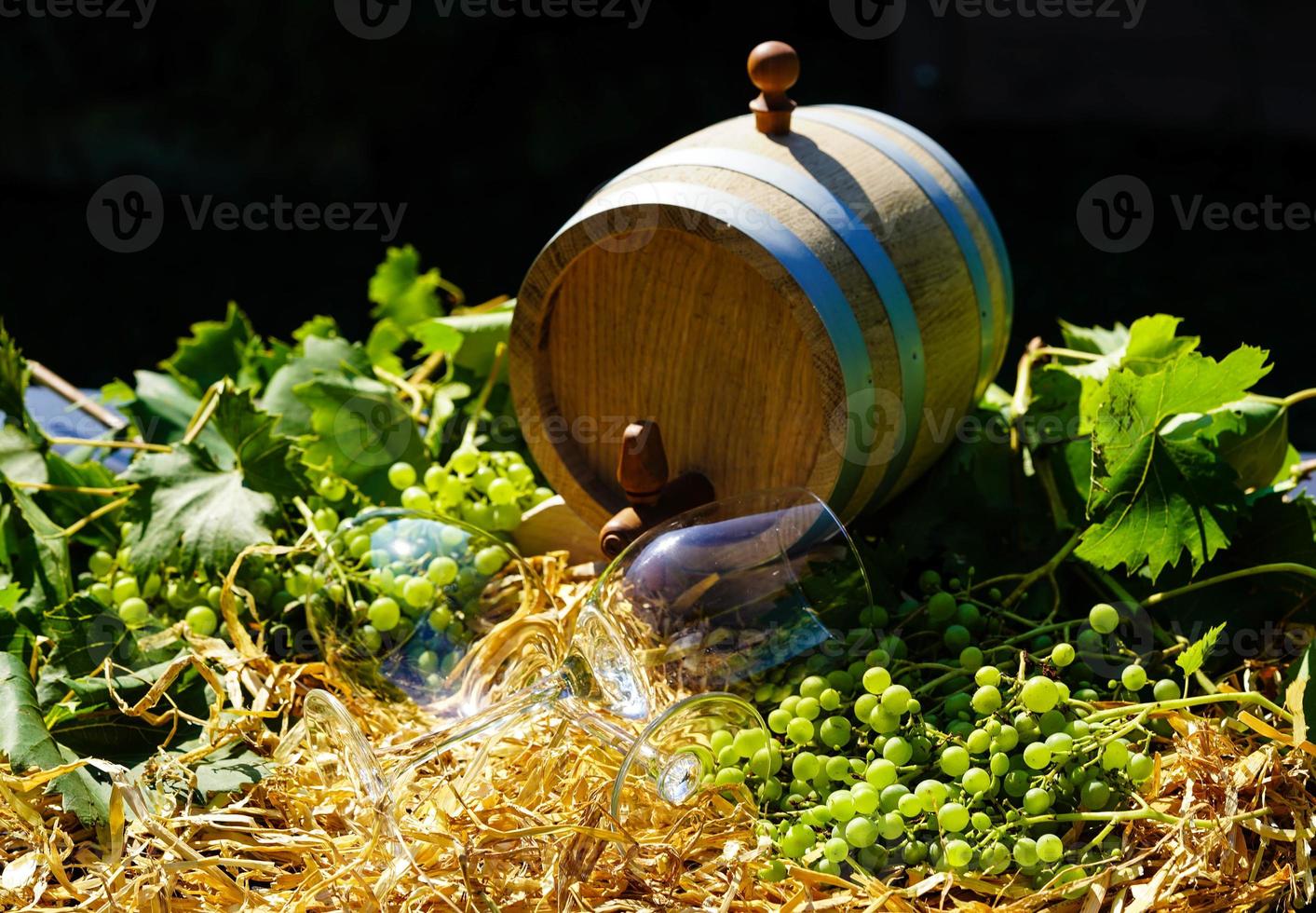 wine grapes raisins and wine leaves in the old land next to Hamburg photo