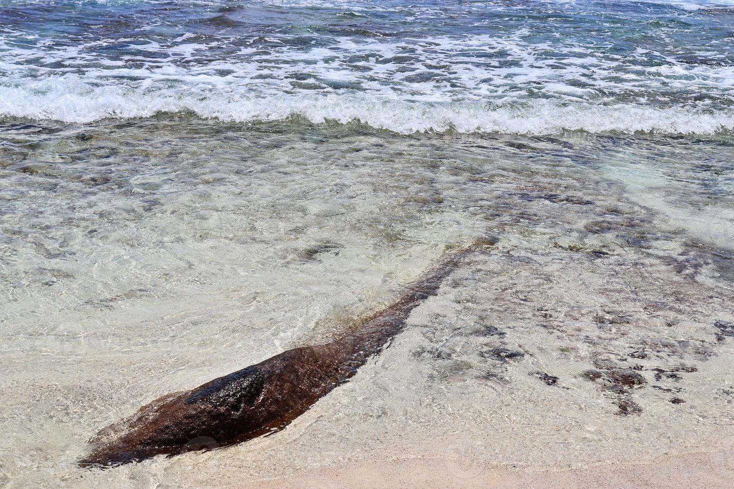 Stunning indian ocean waves at the beaches on the paradise island seychelles photo