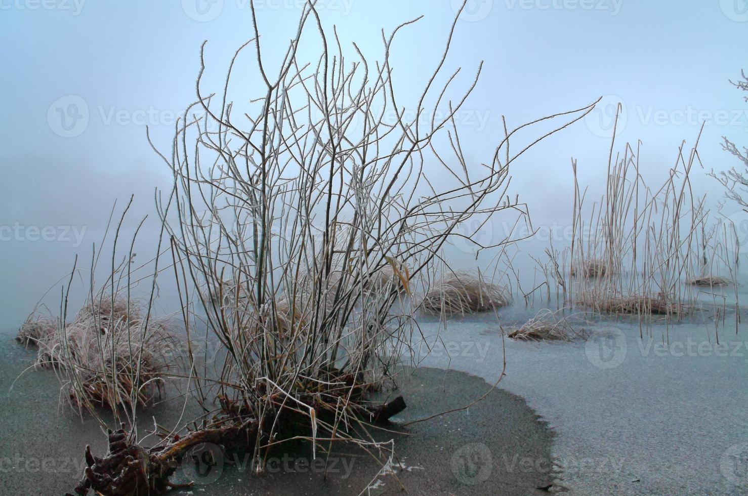 Beautiful winter shot at a lake and forest with snow and ice. photo