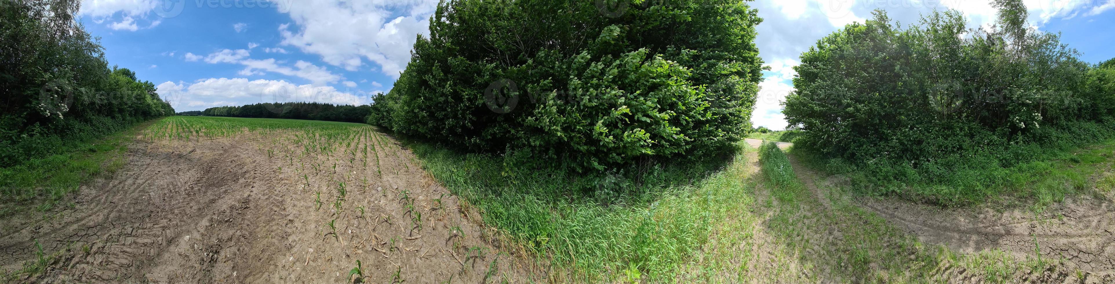 panorama de caminos rurales con campos y árboles en el norte de europa. foto