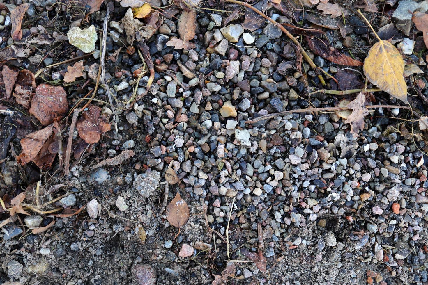 vista detallada de primer plano sobre guijarros y piedras en una textura de suelo de grava foto