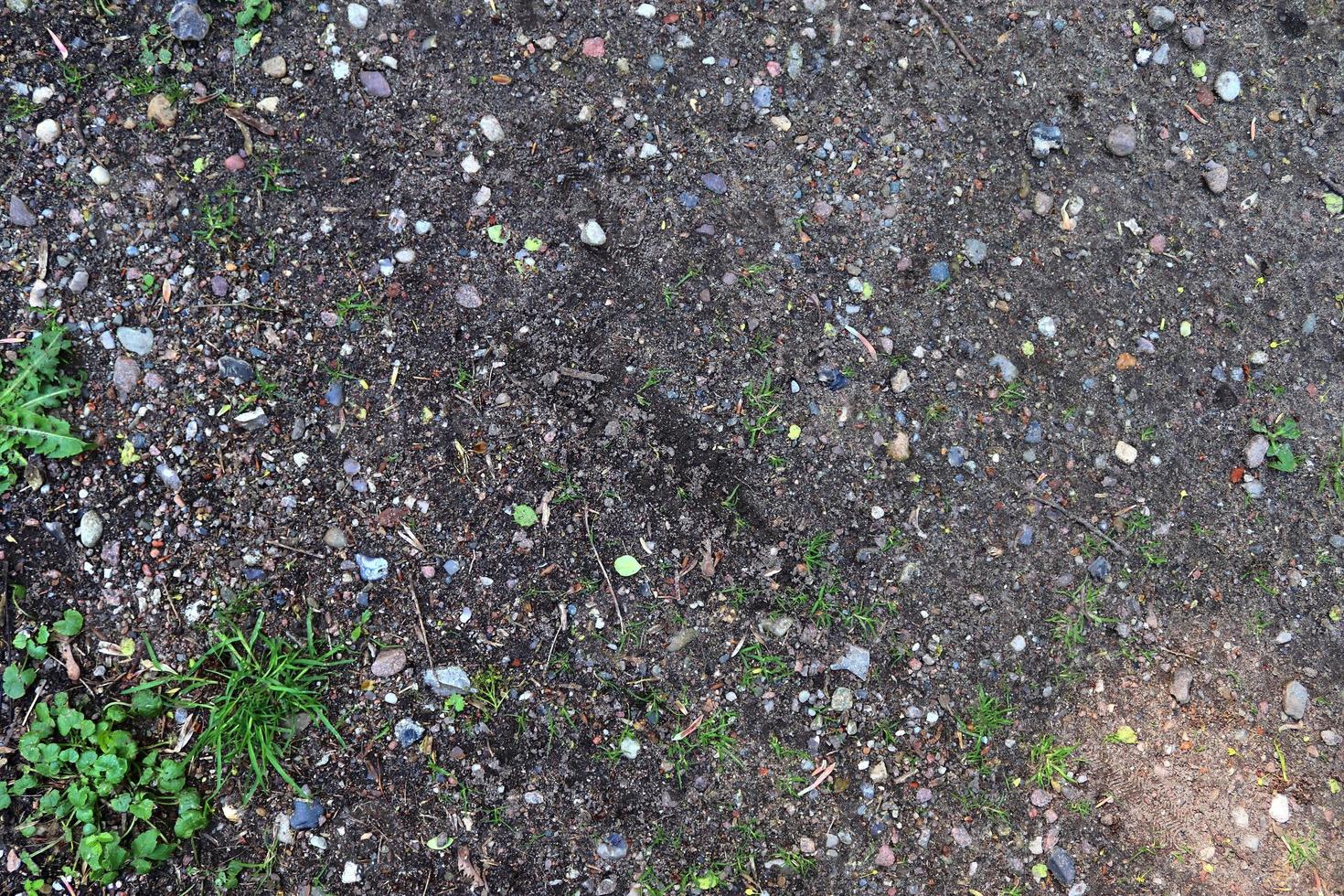 Detailed close up view on pebbles and stones on a gravel ground texture photo