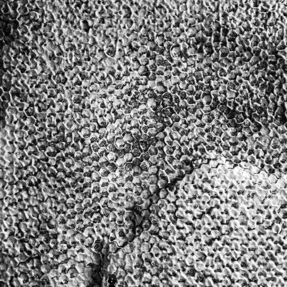 Abstract hexagon structure is honeycomb from bee hive photo