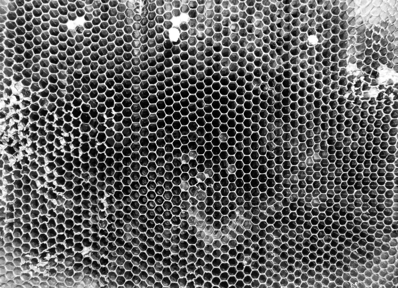 Abstract hexagon structure is honeycomb from bee hive photo