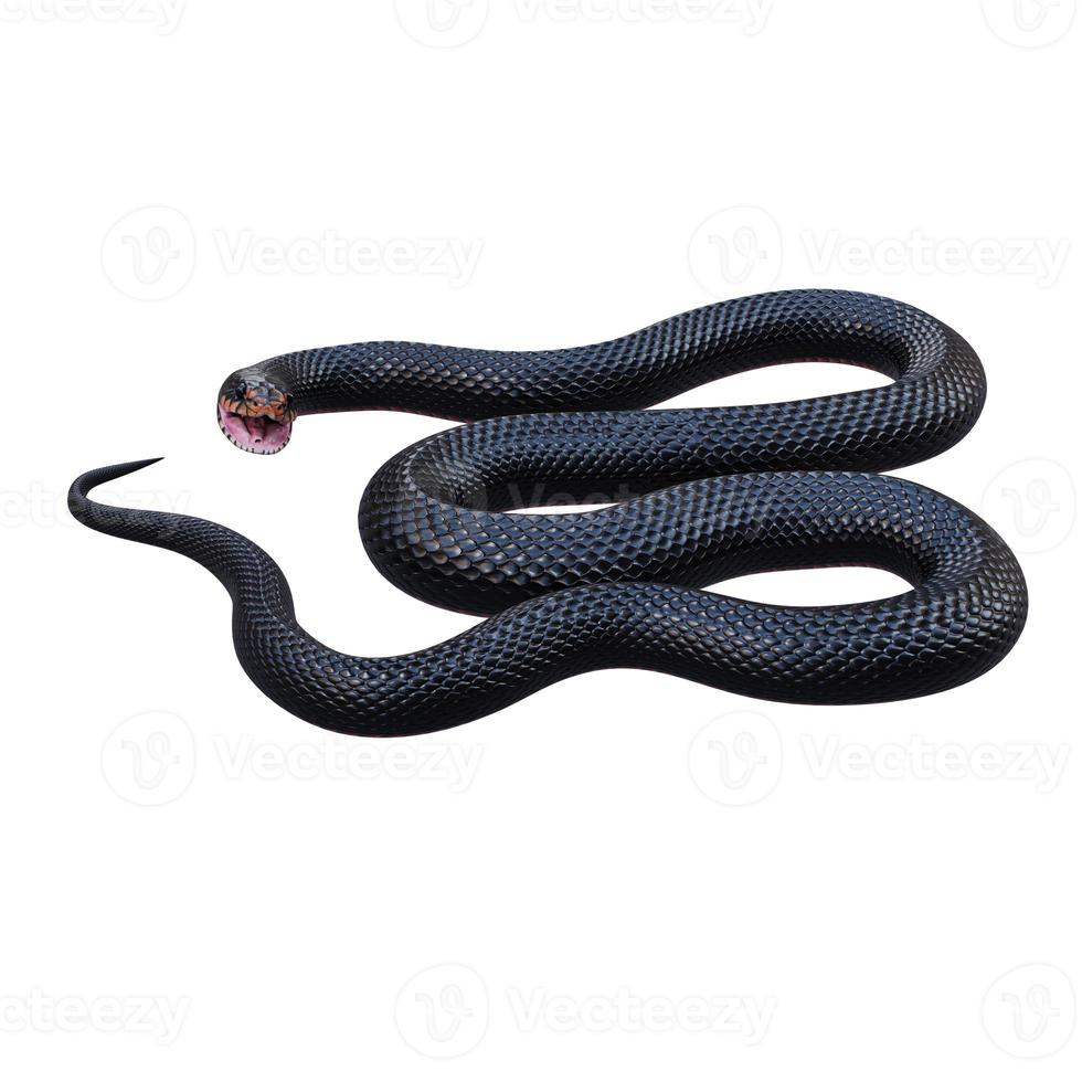 ilustración 3d de serpiente negra de vientre rojo foto