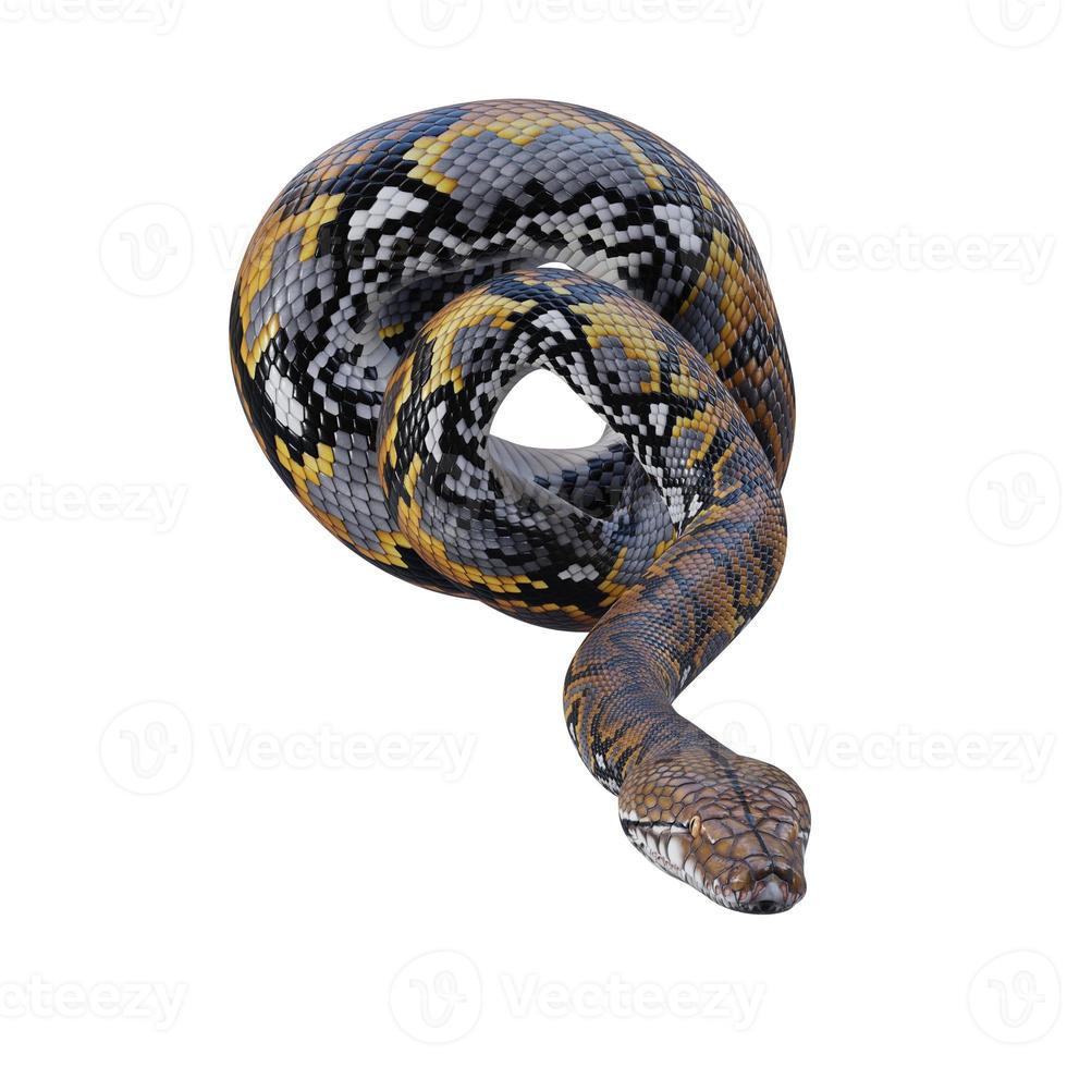 Reticulated python 3D illustration photo