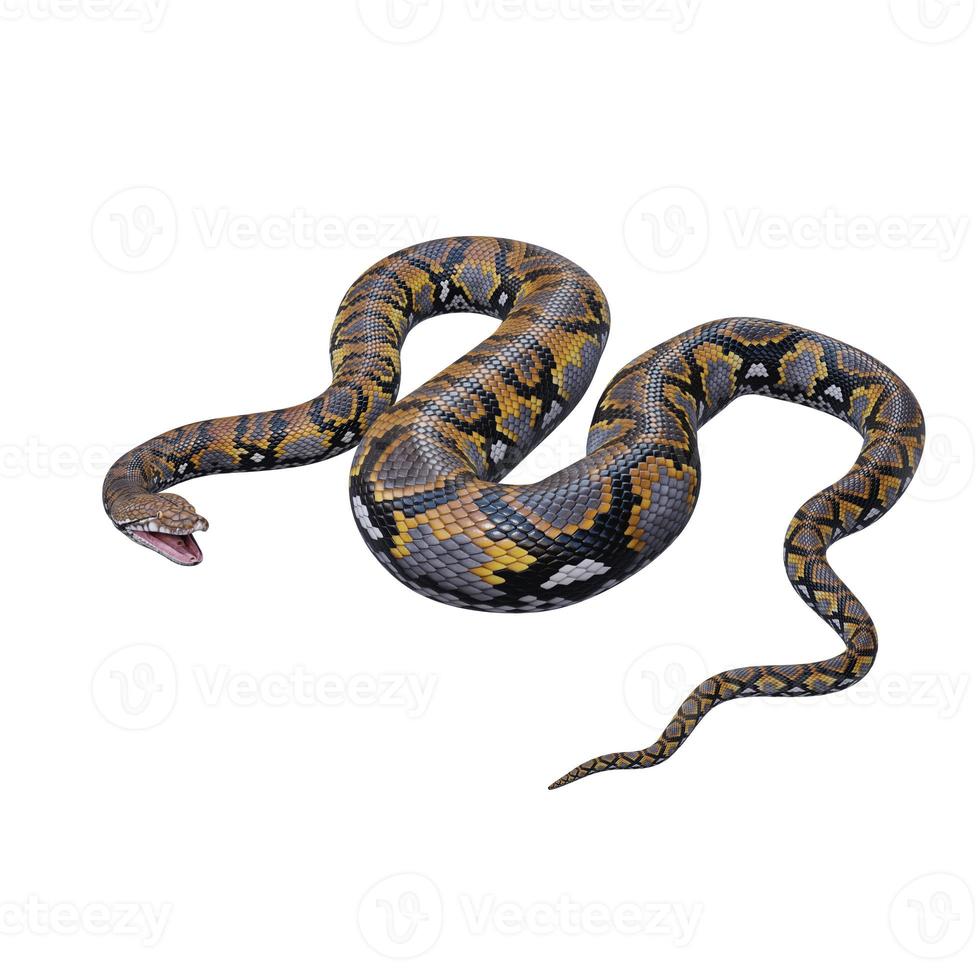 Reticulated python 3D illustration photo