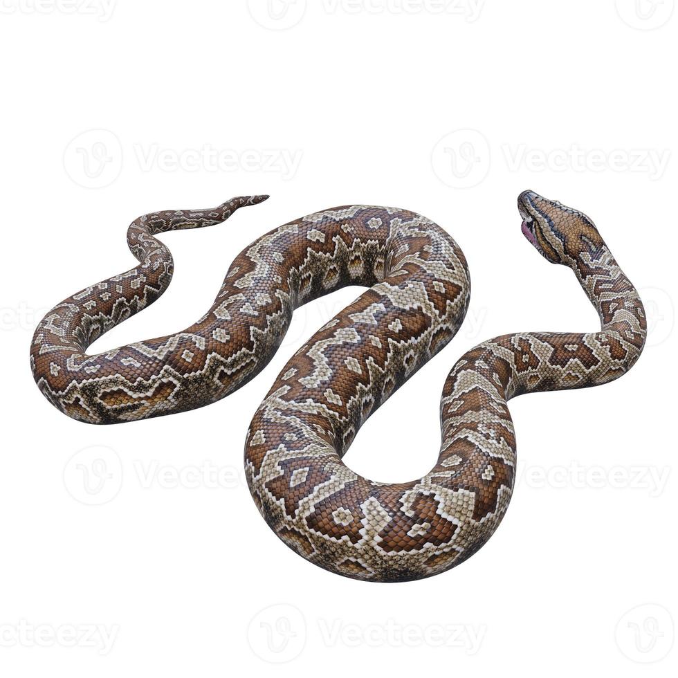 Southern African rock python 3D illustration 11890156 Stock Photo at ...