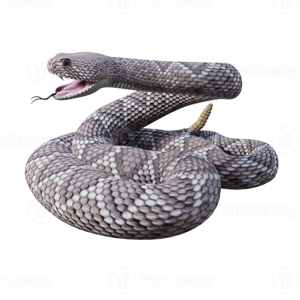ilustración 3d de serpiente de cascabel de espalda de diamante occidental foto
