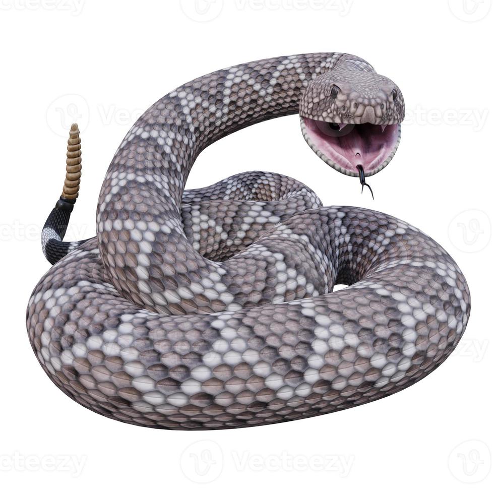 ilustración 3d de serpiente de cascabel de espalda de diamante occidental foto