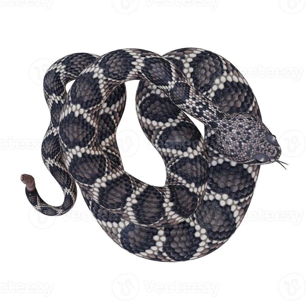 ilustración 3d de serpiente de cascabel de espalda de diamante oriental foto