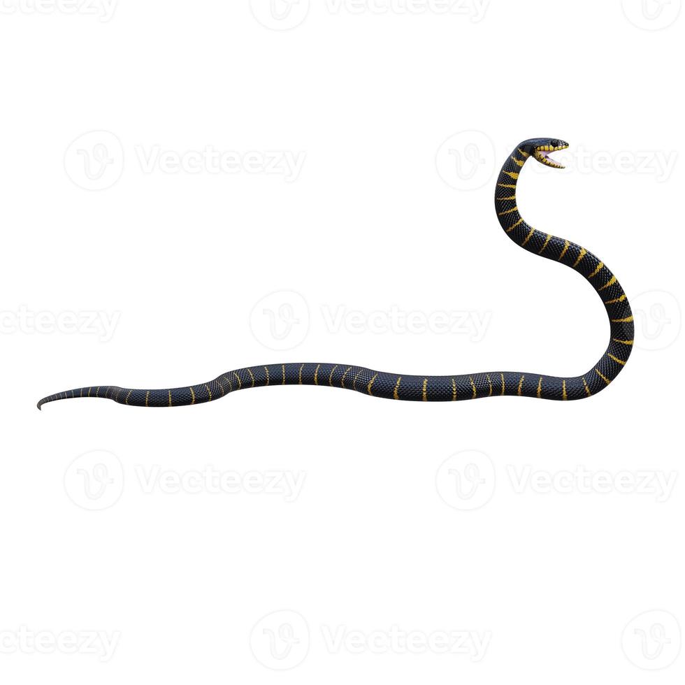 Mangrove snake 3D illustration photo