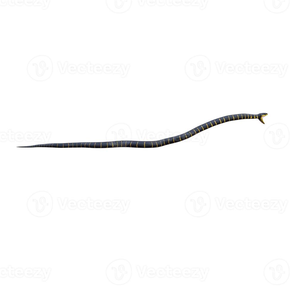 Mangrove snake 3D illustration photo