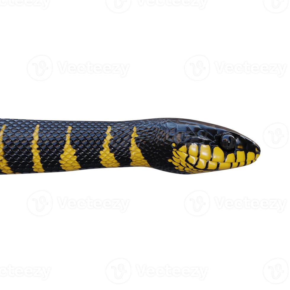 Snake 3d illustration Stock Photo by ©julos 4397060