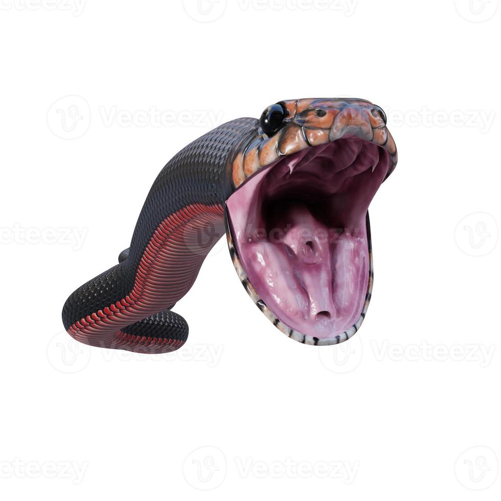 Premium Photo  A huge predatory snake. 3d illustrations