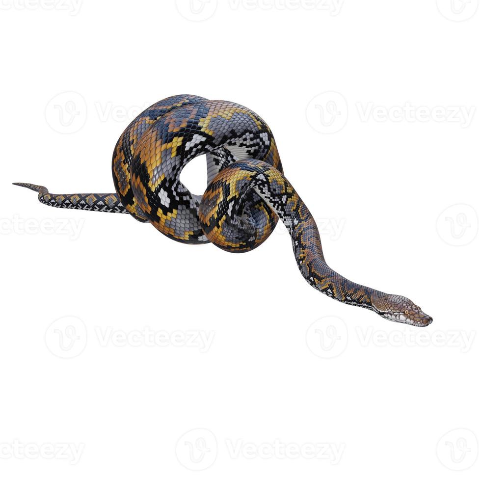 Reticulated python 3D illustration photo