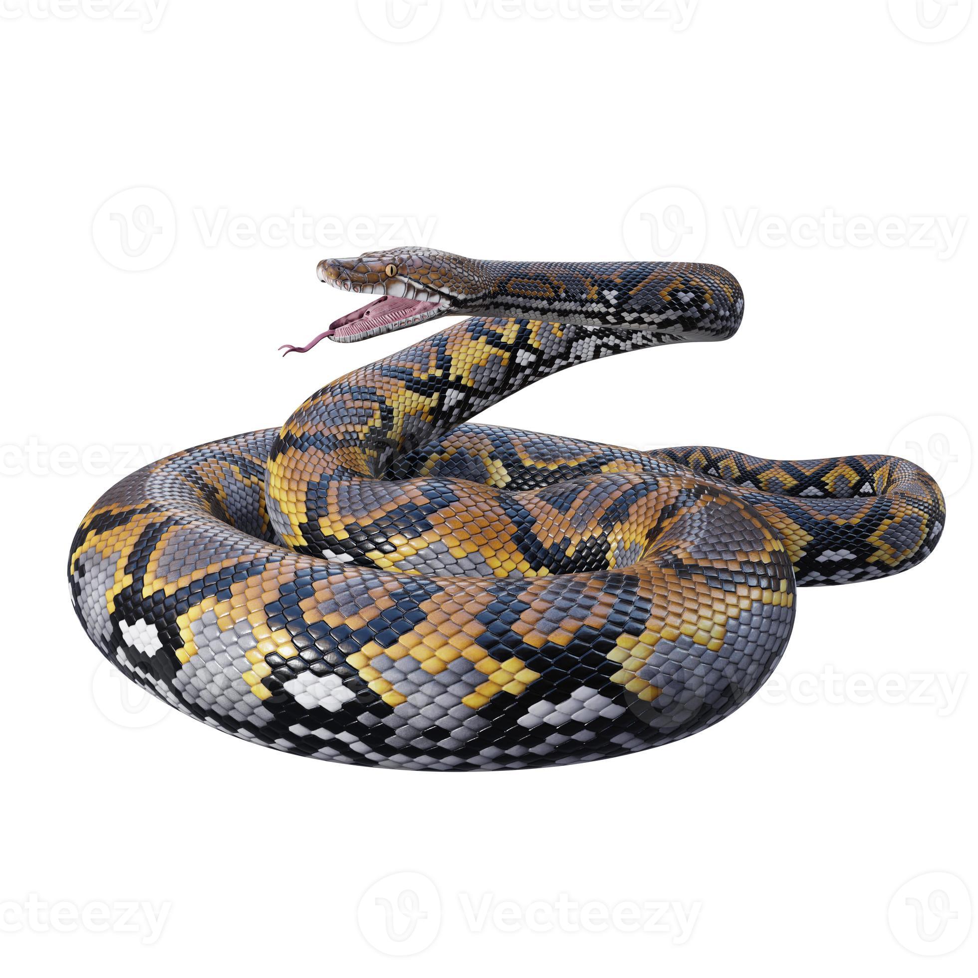 Reticulated python 3D illustration 11890241 Stock Photo at Vecteezy