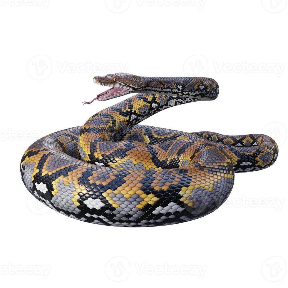 Reticulated python 3D illustration photo