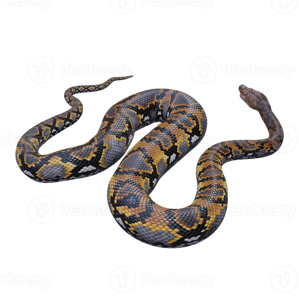 Reticulated python 3D illustration photo