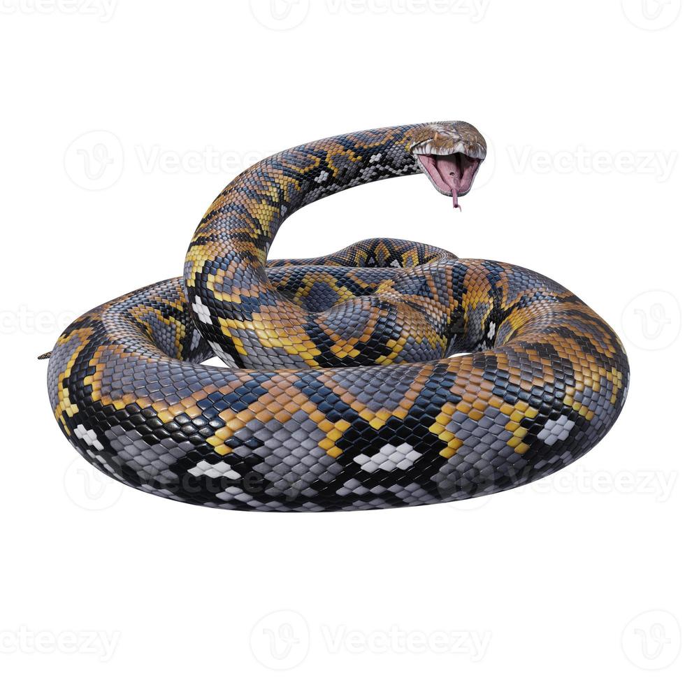 Reticulated python 3D illustration photo