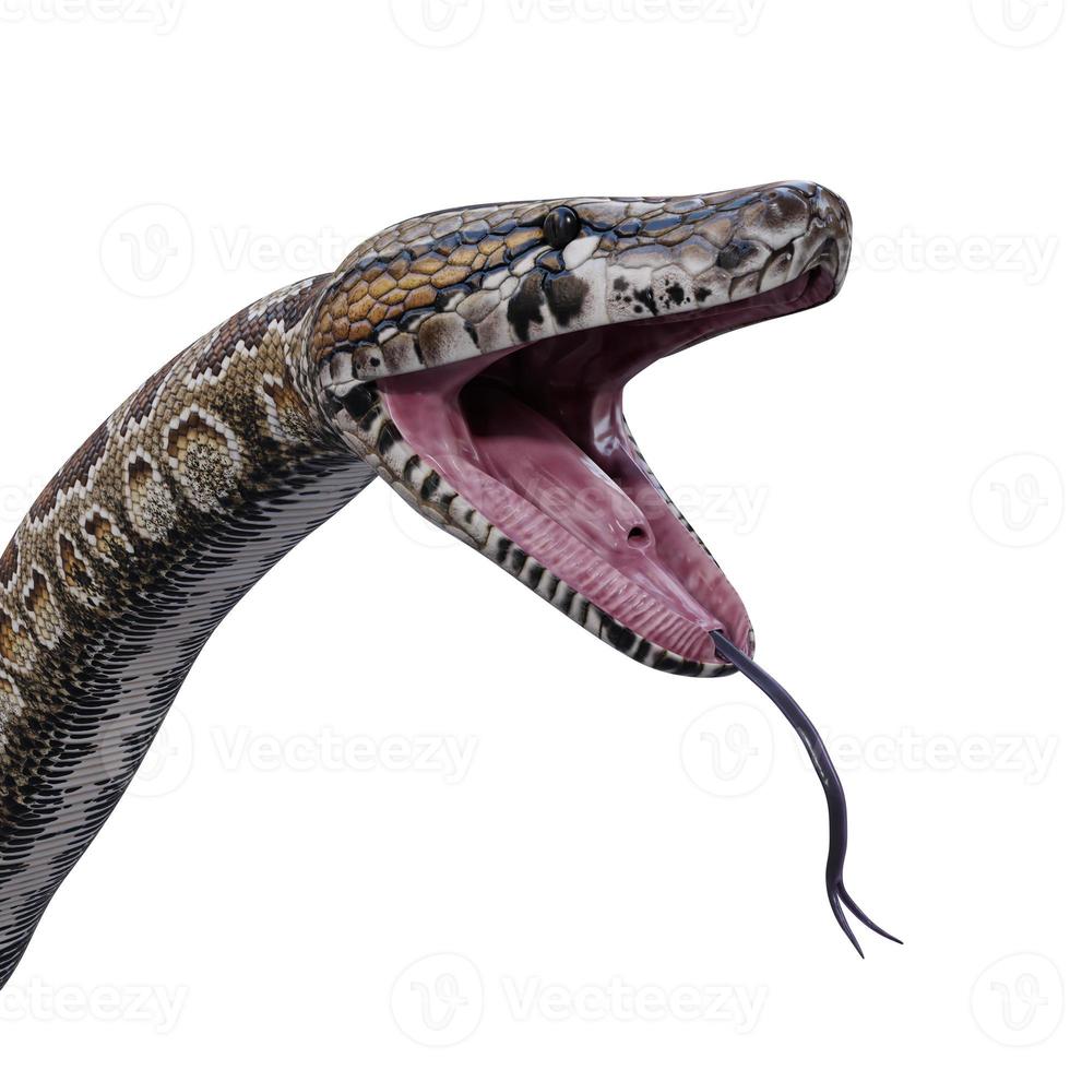 Southern African rock python 3D illustration 11890263 Stock Photo at ...
