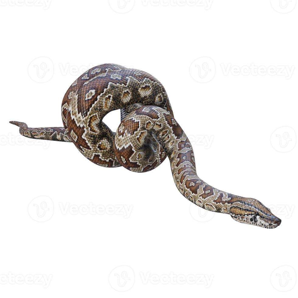 Southern African rock python 3D illustration 11890264 Stock Photo at ...