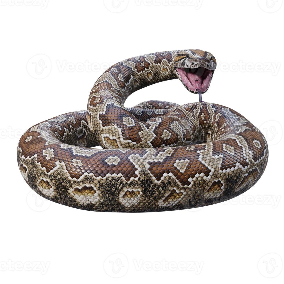Southern African rock python 3D illustration 11890270 Stock Photo at ...
