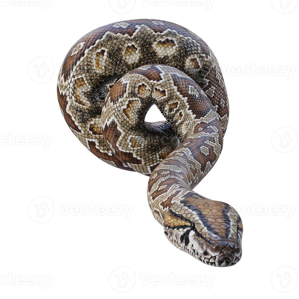 Southern African rock python 3D illustration 11890271 Stock Photo at ...