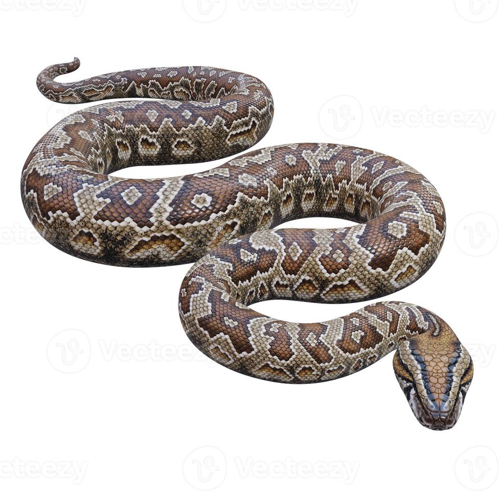 Southern African rock python 3D illustration 11890272 Stock Photo at ...
