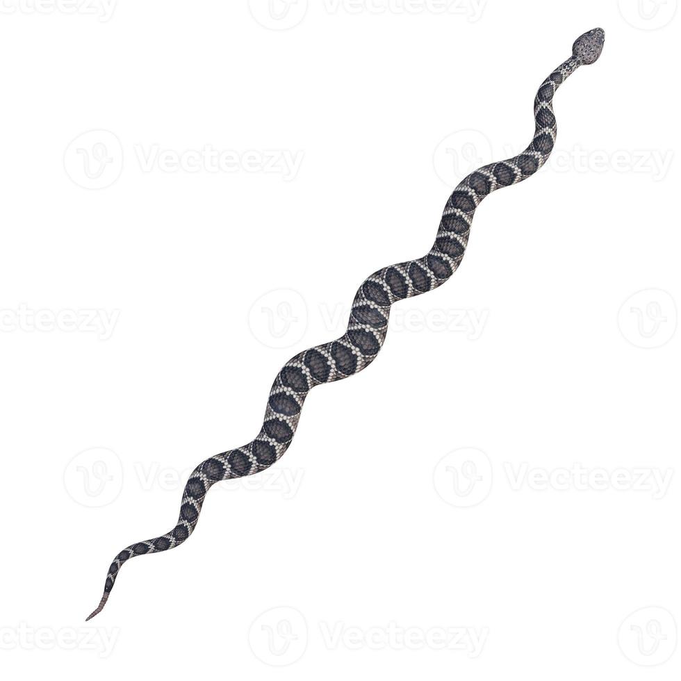 Eastern diamondback rattlesnake 3D illustration photo