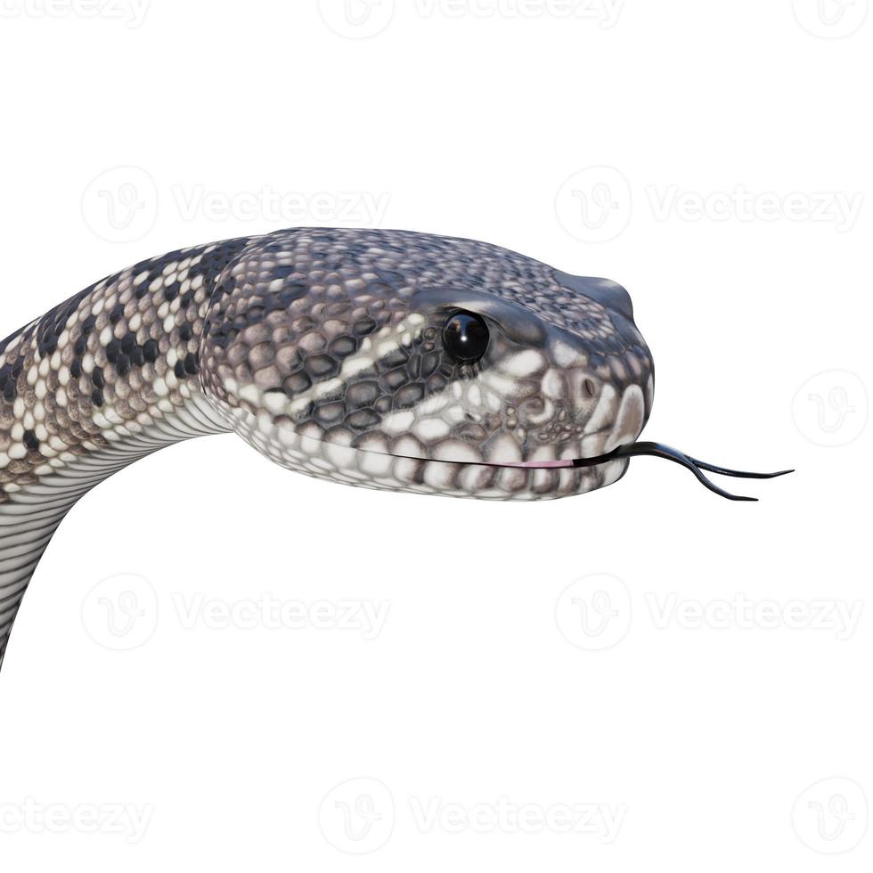 Eastern diamondback rattlesnake 3D illustration photo